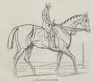 Attila, the Winner of the Derby by English School