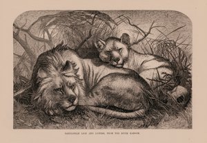 Babylonian Lion and Lioness from the River Karoom by English School