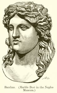 Bacchus (Marble Bust in the Naples Museum)