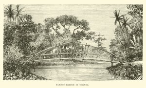 Bamboo Bridge in Borneo by English School
