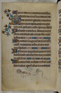Bas-de-page scene of a Cock and a winged serpent fighting, with a decorated initial 
