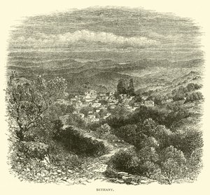 Bethany by English School