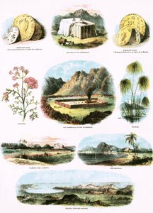 Biblical Illustrations by English School