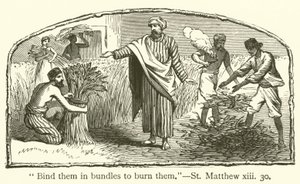 Bind them in bundles to burn them, St Matthew, xiii, 30