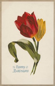 Birthday greetings card by English School