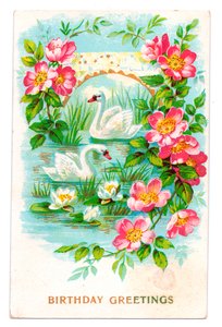 Birthday Postcard