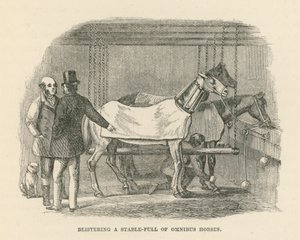 Blistering a Stable-Full of Omnibus Horses