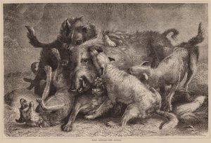 Boar Hunting, The Attack by English School