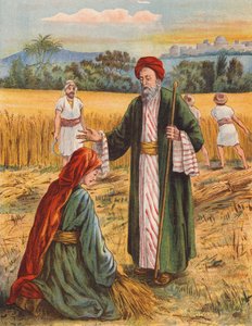 Boaz and Ruth in the Harvest Field by English School
