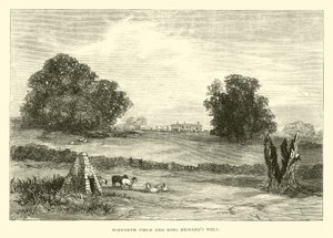 Bosworth Field and King Richard