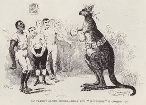Boxing kangaroo by English School