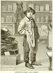 Boy at Museum, A Fish Out of Water