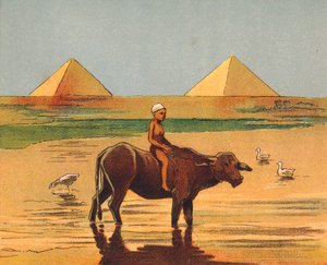 Boy Riding an Ox in Front of the Pyramids, Egypt by English School
