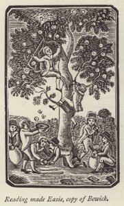 Boys picking apples