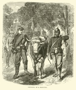 Bringing in a prisoner, September 1870 by English School