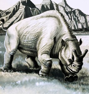 Brontotherium from the Oligocene Age by English School