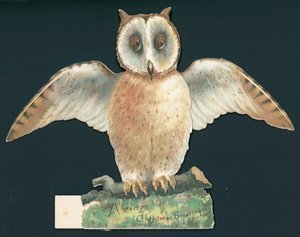 Brown Owl with Wings Open, Christmas Card