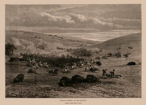 Buffalo Hunting on the Prairies