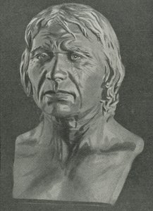 Bust of a Cro-Magnon man by English School