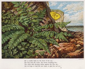 Butterfly and fern at the base of a cliff by the sea by English School