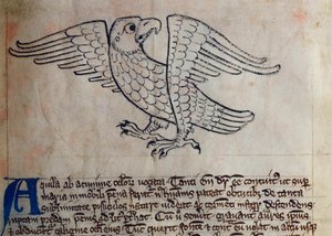 Eagle, from Bestiary by English School