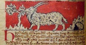 Goat, from Bestiary by English School