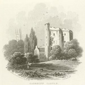 Caerdiff Castle by English School