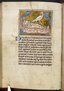 Caladrius Bird - Bestiary, Royal MS 12 C XIX, f.47v by English School