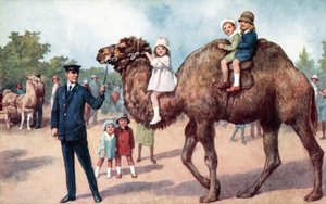 Camel Carrying Children, London Zoo by English School