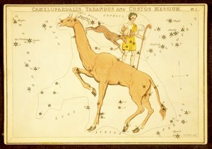 Camelopardalis, Tarandus and Custos Messium, pub. 1825 by English School