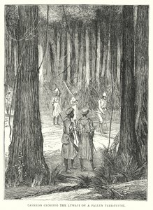 Cameron crossing the Luwati on a Fallen Tree-Trunk (engraving) by English School
