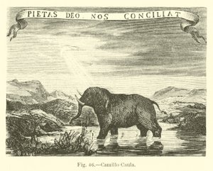 Camillo Caula by English School