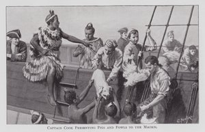 Captain Cook Presenting Pigs and Fowls to the Maoris by English School