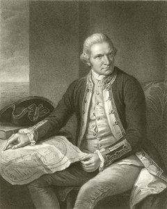 Captain James Cook by English School