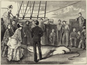 Capture of a shark in the tropics by English School