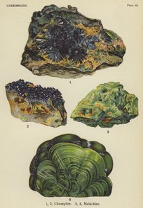 Carbonates, chessylite, malachite by English School