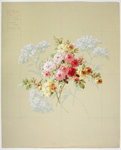 Carpet Design