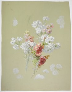 Carpet Design