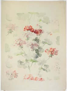 Carpet Design by English School