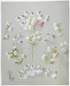 Carpet Design by English School