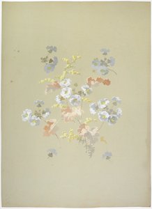 Carpet Design