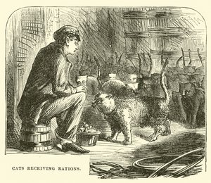 Cats Receiving Rations by English School
