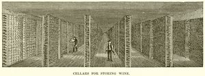 Cellars for Storing Wine by English School