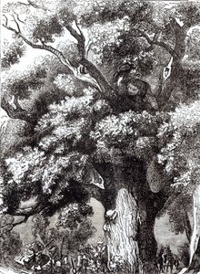 Charles II (1630-85) Hidden in the Oak Tree, 14th October 1651