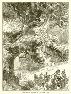 Charles II Hidden in the Oak Tree by English School