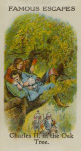 Charles II, in the Oak Tree by English School