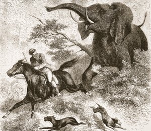Chased by an elephant, illustration from The Pictorial Edition of the Life and Discoveries of David Livingstone by J. Ewing Richie by English School