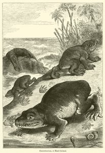 Cheirotherium, or Hand-Animal by English School