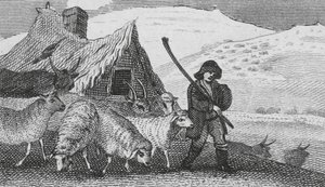 Cheviot Shepherds by English School