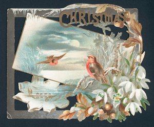 Christmas card with two robins by English School